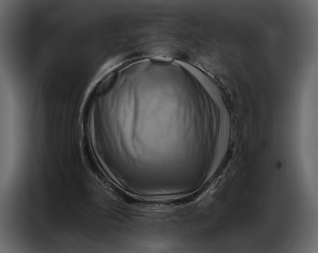 X0000086880198200705071209