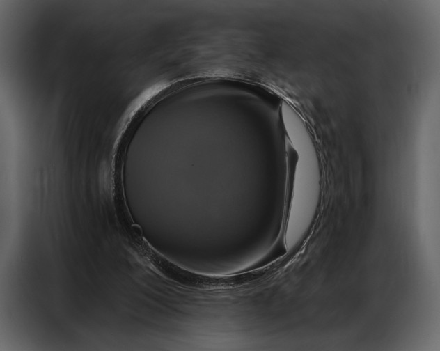 X0000086880200200705071209