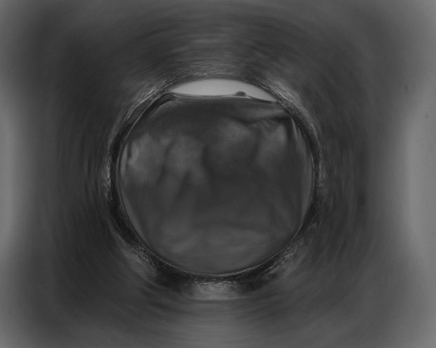 X0000086880202200705071209