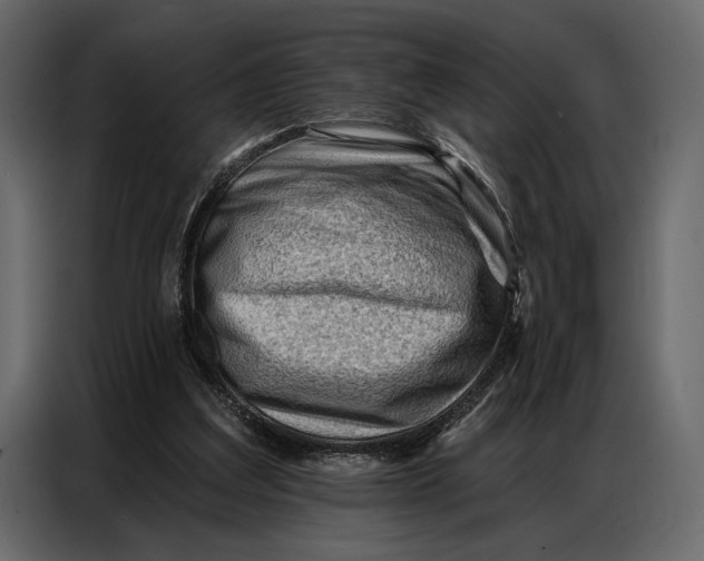 X0000086880203200705071209