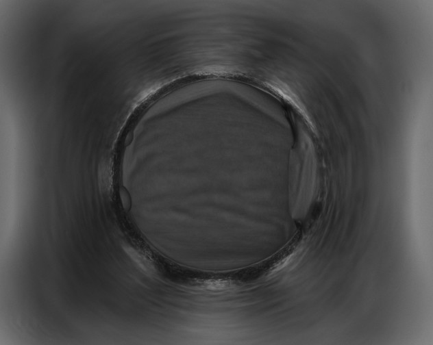 X0000086880204200705071209