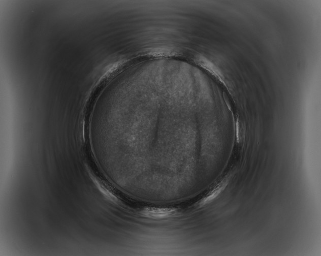 X0000086880205200705071209