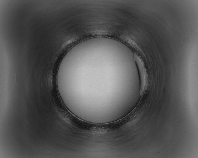 X0000086880207200705071209