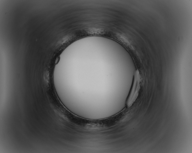 X0000086880211200705071209