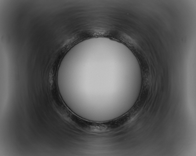 X0000086880215200705071209