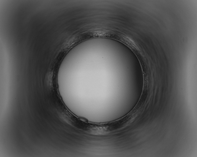 X0000086880217200705071209