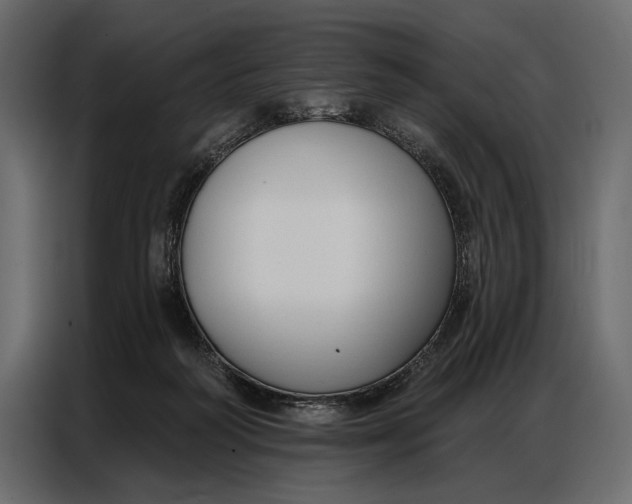 X0000086880218200705071209