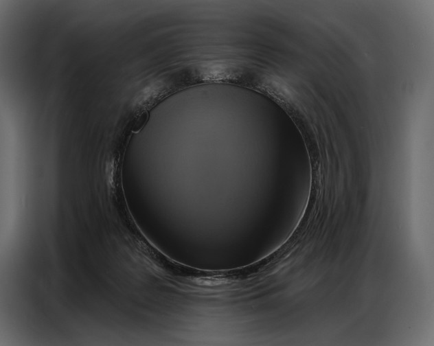 X0000086880219200705071209