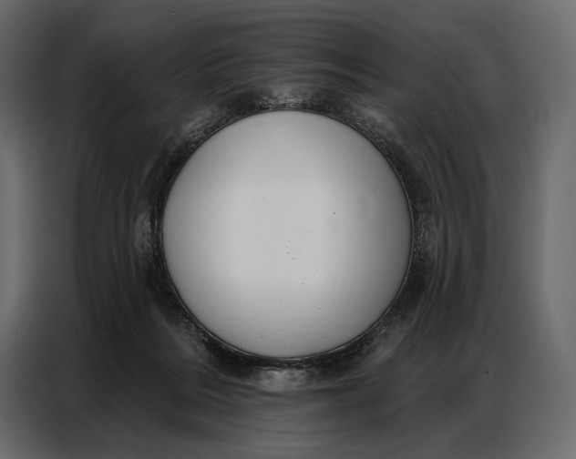 X0000086880220200705071208