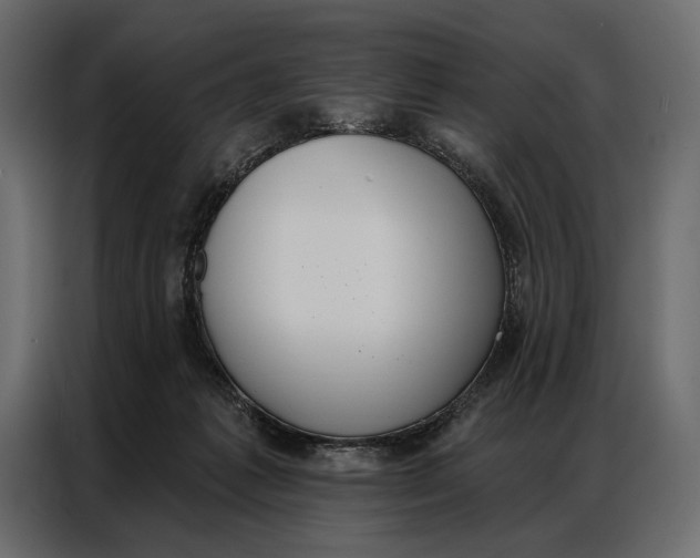 X0000086880221200705071208