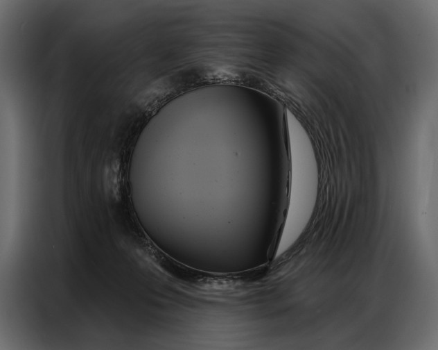 X0000086880223200705071208