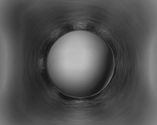 X0000086880224200705071208