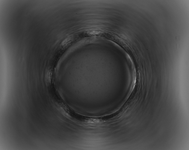 X0000086880227200705071208