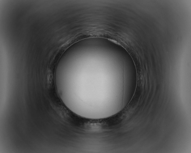 X0000086880228200705071208