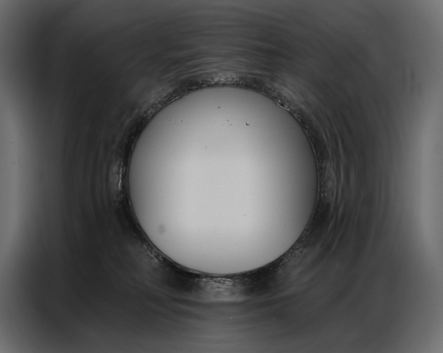 X0000086880230200705071208