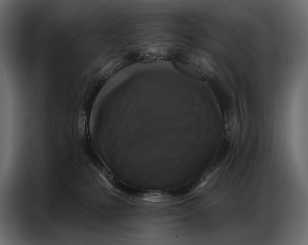 X0000086880231200705071208