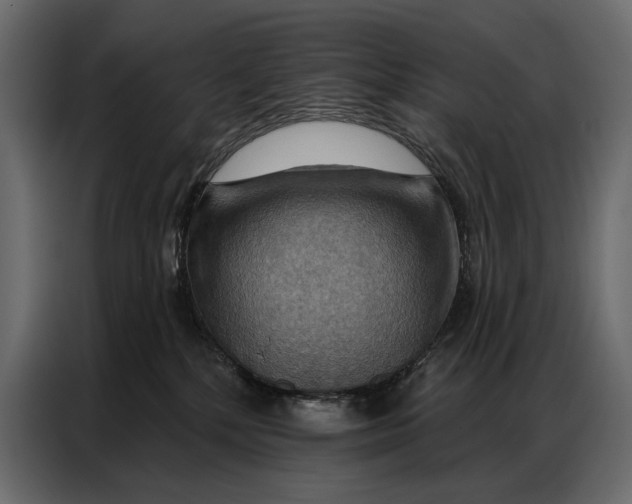 X0000086880232200705071208