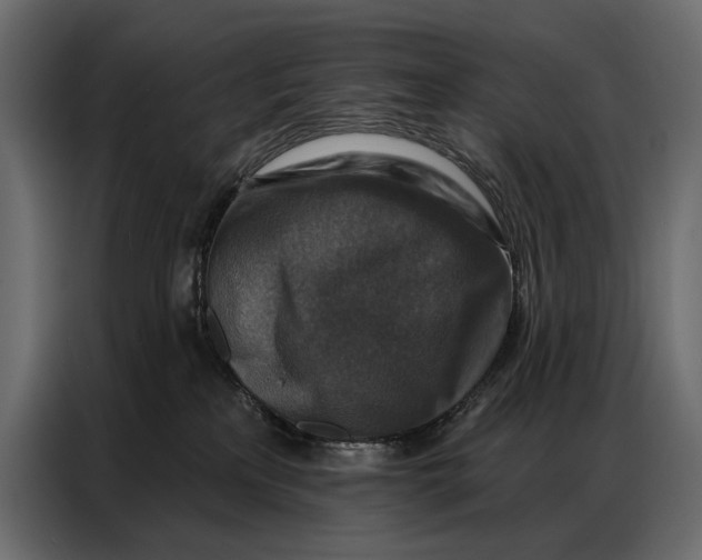 X0000086880233200705071208