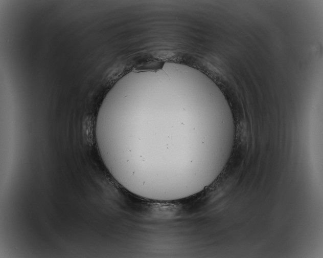 X0000086880234200705071208