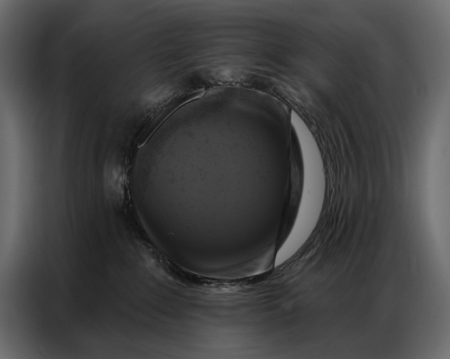 X0000086880235200705071208