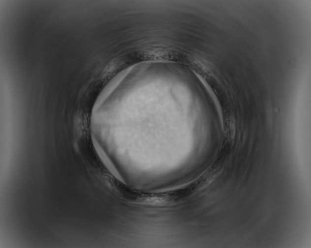 X0000086880236200705071208