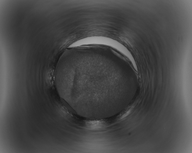 X0000086880237200705071208