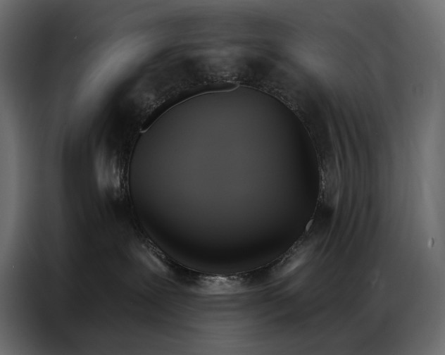 X0000086880239200705071208