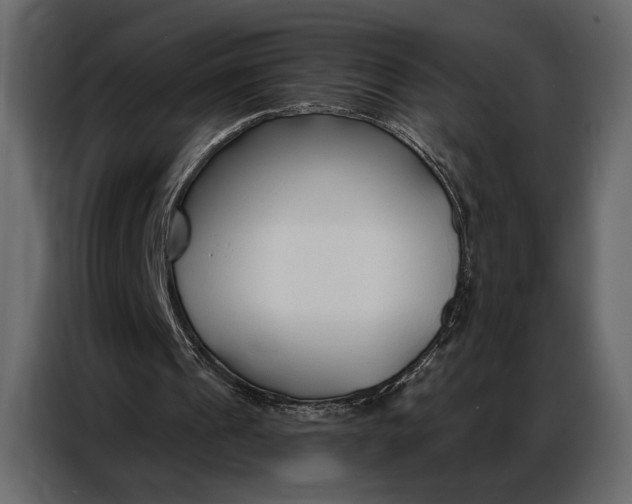 X0000086880241200705071208