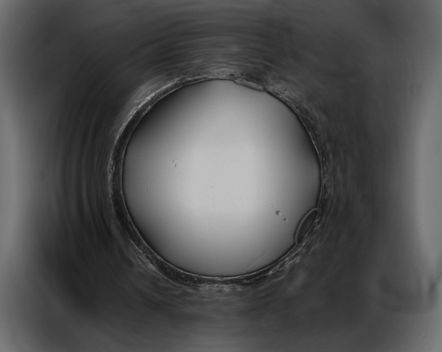 X0000086880242200705071208