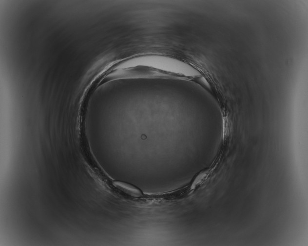 X0000086880243200705071208