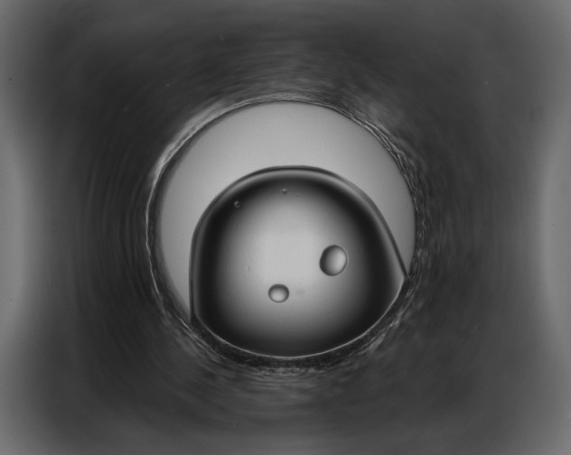 X0000086880244200705071208