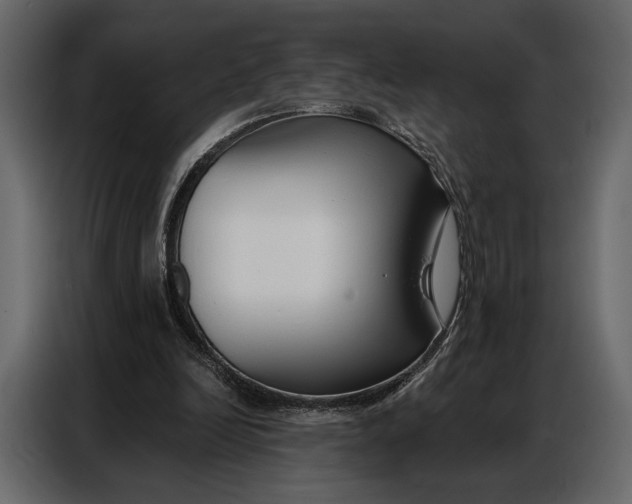 X0000086880246200705071208