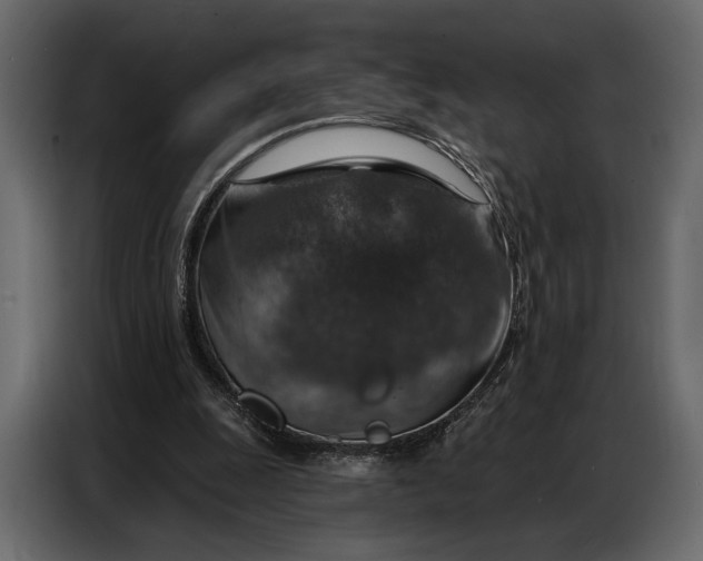 X0000086880247200705071208