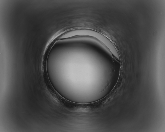 X0000086880248200705071208