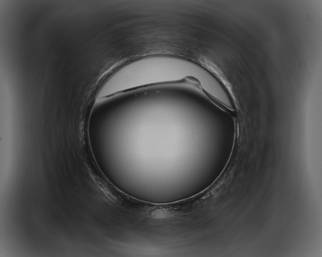 X0000086880249200705071208