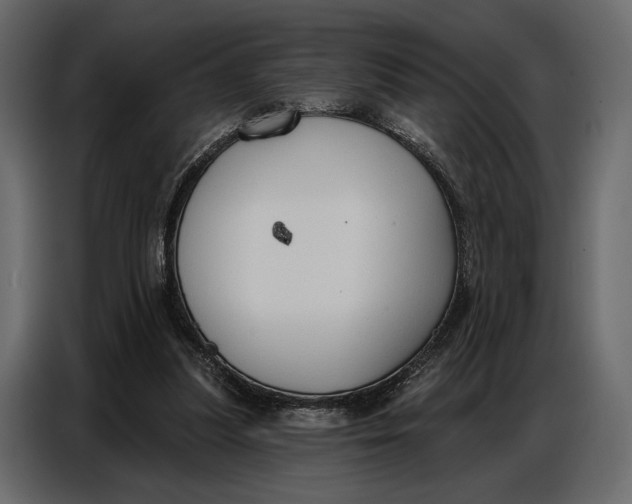 X0000086880251200705071208