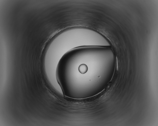 X0000086880252200705071208