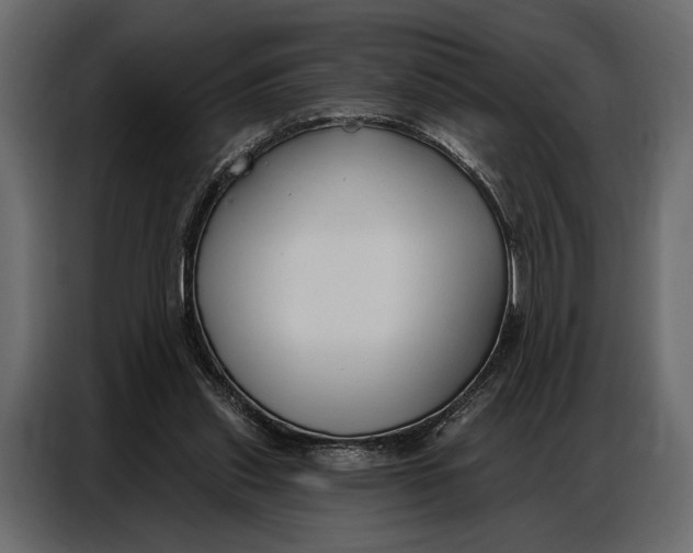 X0000086880253200705071208