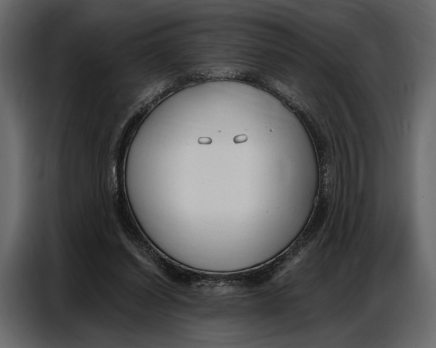 X0000086880254200705071208