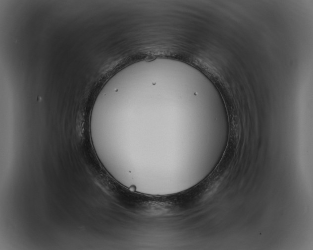 X0000086880255200705071208