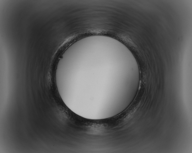 X0000086880256200705071208