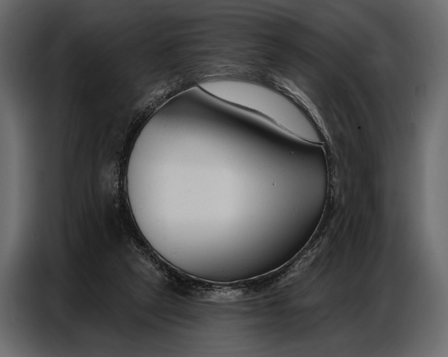 X0000086880257200705071208