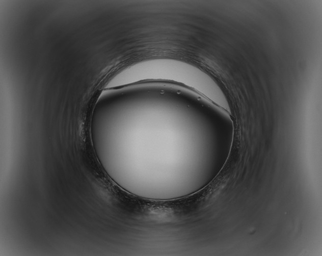 X0000086880258200705071208