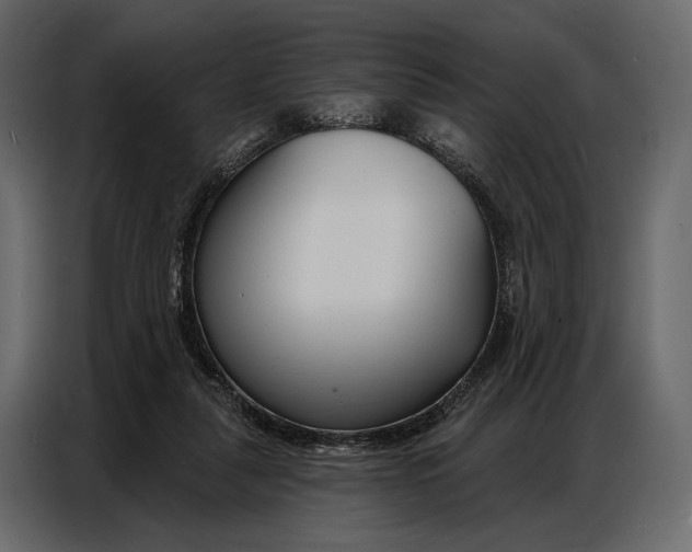 X0000086880259200705071208