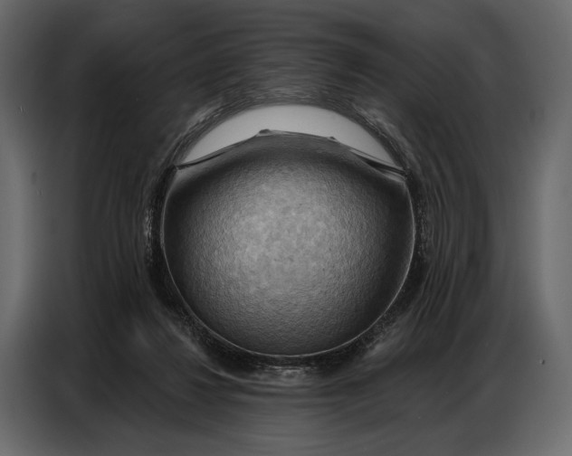 X0000086880260200705071208