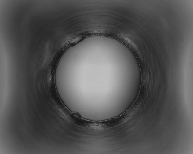 X0000086880261200705071208