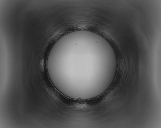 X0000086880262200705071208