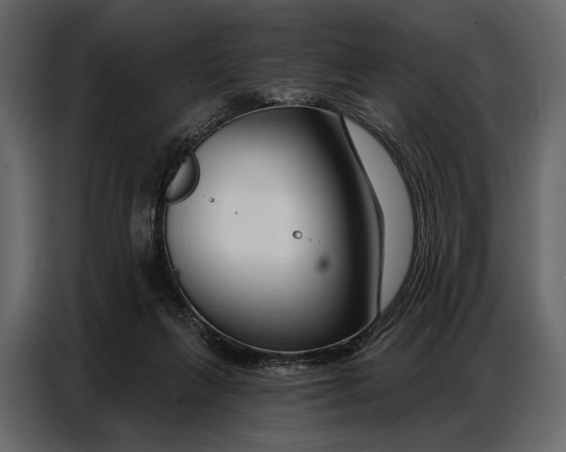 X0000086880263200705071208