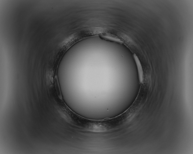 X0000086880264200705071208