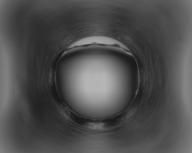 X0000086880266200705071208